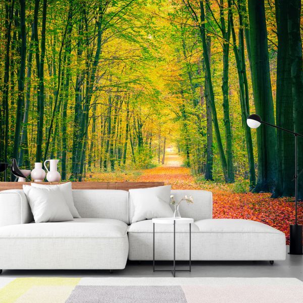 Foto Mural Otoño